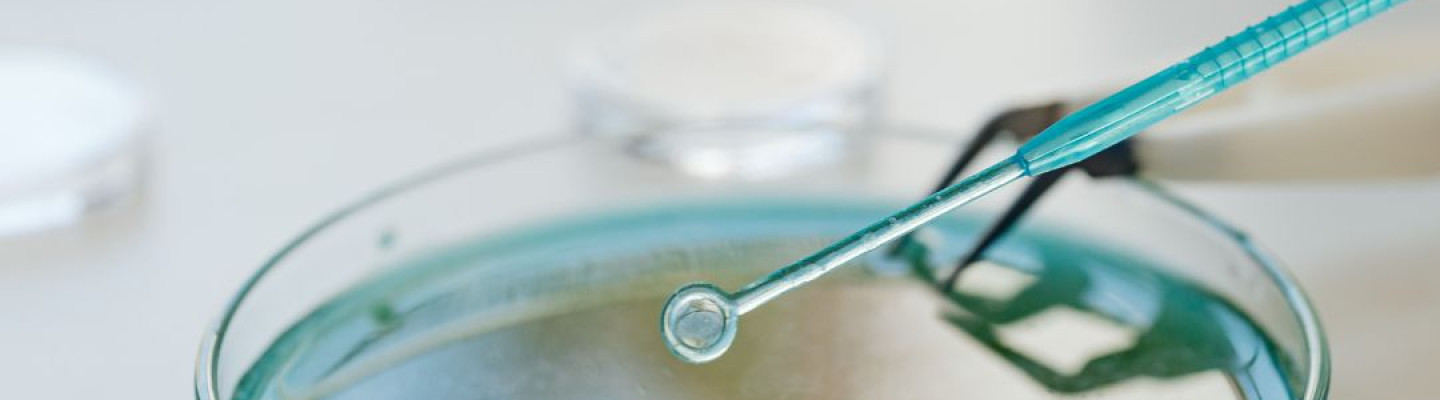 Biochemia - podstawa diagnostyki laboratoryjnej