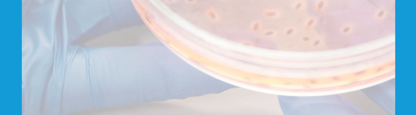 Innowacyjny producent podÅoÅ¼y mikrobiologicznych w ofercie Bionesis