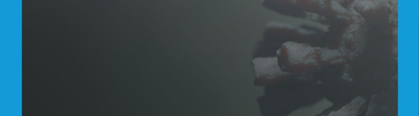 SARS-CoV-2 szybkie testy kasetkowe â ukÅad oddechowy