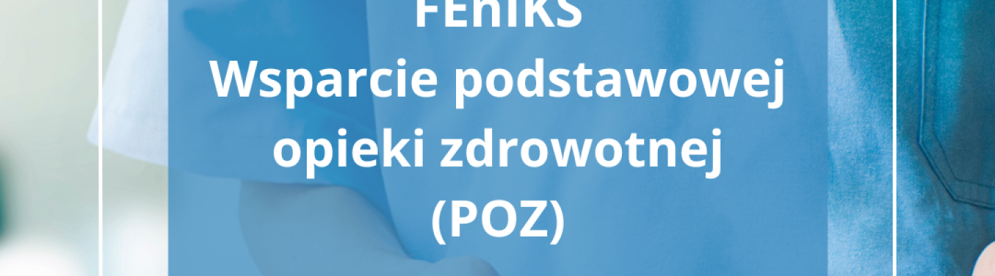 Program FEnIKS